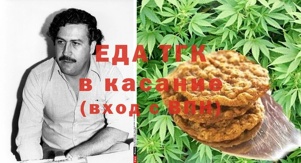 индика Протвино