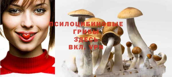 мефедрон Приозерск
