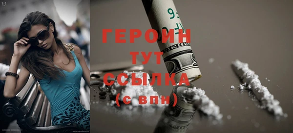 индика Протвино