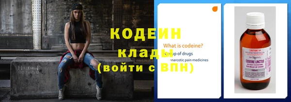 индика Протвино