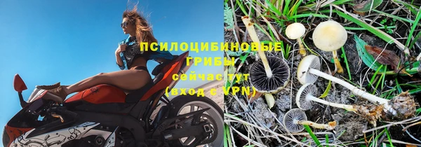 индика Протвино
