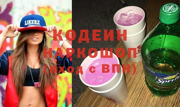 индика Протвино