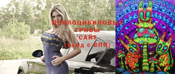 индика Протвино
